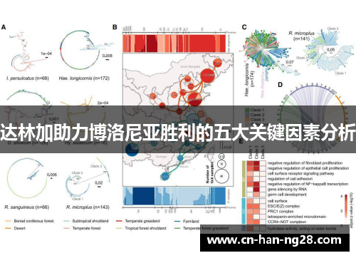 达林加助力博洛尼亚胜利的五大关键因素分析 达林加助力博洛尼亚胜利的五大关键因素分析